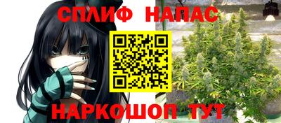 мяу мяу мука Малгобек