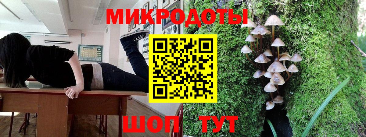 Галлюциногенные грибы мицелий Чайковский