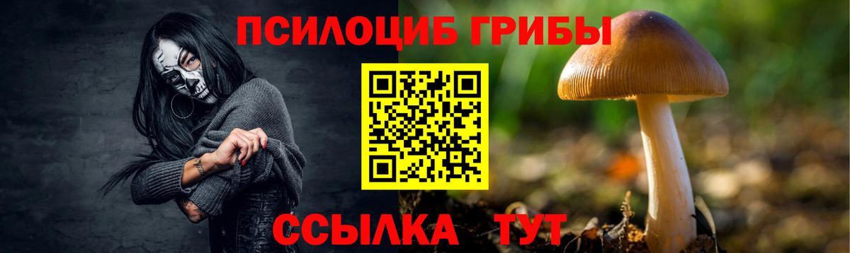 Чайковский  Псилоцибиновые грибы прущие грибы  Вход с VPN 